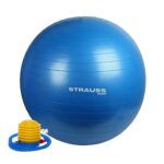 Gym Ball With Quick Pump - Image 6