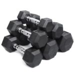 Rubber Coated Hex Dumbbells (Pair)